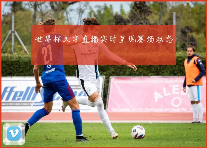 世界杯文字直播实时呈现赛场动态