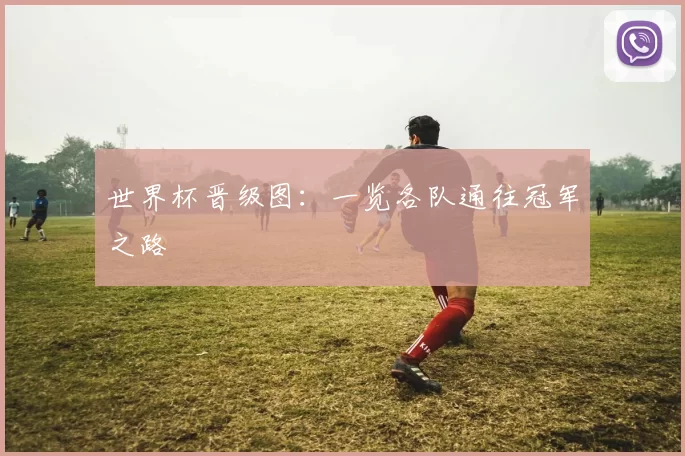 世界杯晋级图:一览各队通往冠军之路