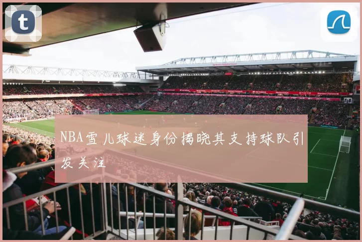 NBA雪儿球迷身份揭晓其支持球队引发关注