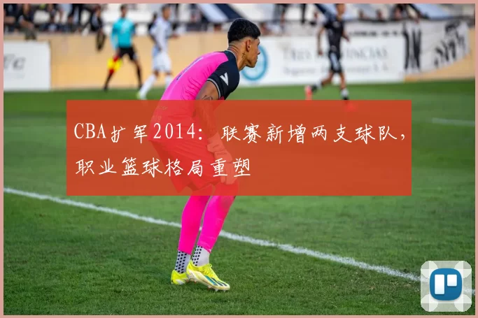 CBA扩军2014：联赛新增两支球队，职业篮球格局重塑