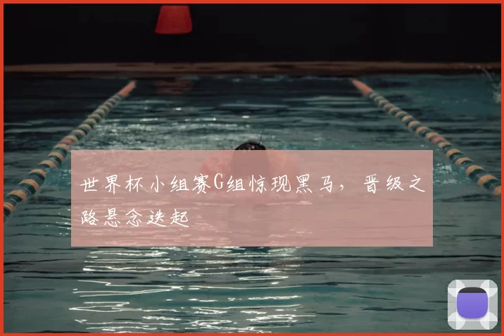 世界杯小组赛G组惊现黑马,晋级之路悬念迭起