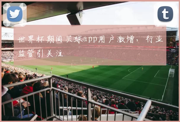 世界杯期间买球app用户激增，行业监管引关注