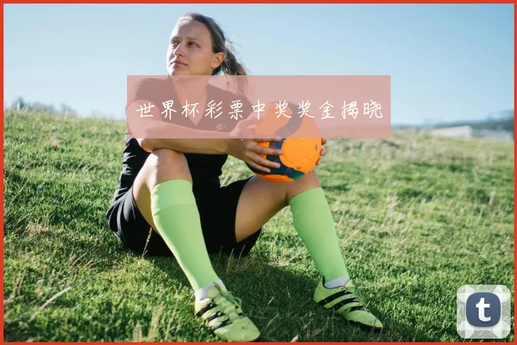 世界杯彩票中奖奖金揭晓