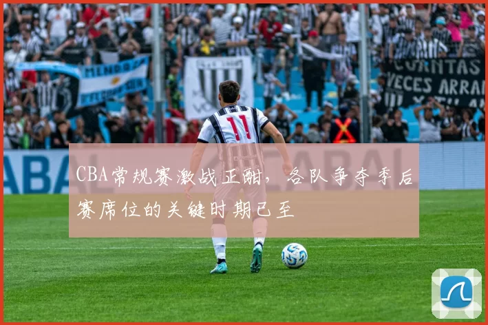 CBA常规赛激战正酣，各队争夺季后赛席位的关键时期已至