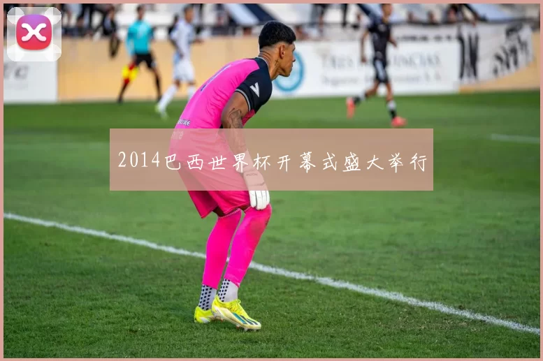 2014巴西世界杯开幕式盛大举行